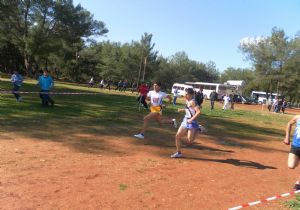 Krosta Erzurum marka il